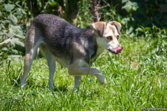 phoca_thumb_l_IMG_8077_resize