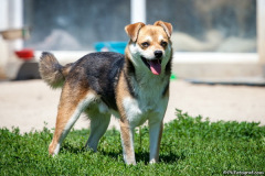 phoca_thumb_l_IMG_8094_resize