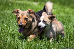 phoca_thumb_l_IMG_8205_resize