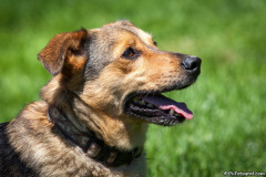phoca_thumb_l_IMG_8226_resize