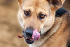 phoca_thumb_l_IMG_4449_resize