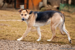 phoca_thumb_l_IMG_4454_resize
