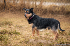 phoca_thumb_l_IMG_4468_resize