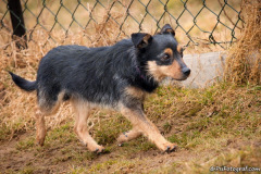 phoca_thumb_l_IMG_4469_resize