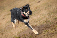 phoca_thumb_l_IMG_4491_resize