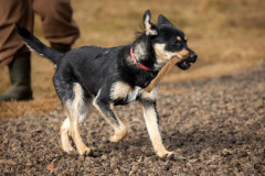 phoca_thumb_l_IMG_4509_resize