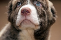 phoca_thumb_l_IMG_3902_resize