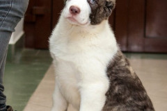 phoca_thumb_l_IMG_3946_resize