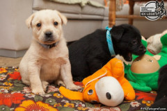 phoca_thumb_l_IMG_0944_resize