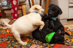 phoca_thumb_l_IMG_1043_resize