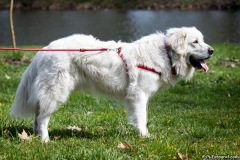 phoca_thumb_l_IMG_0608_resize