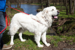 phoca_thumb_l_IMG_0641_resize