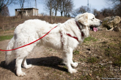 phoca_thumb_l_IMG_0659_resize