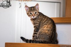 phoca_thumb_l_IMG_1956_resize
