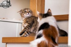 phoca_thumb_l_IMG_1957_resize