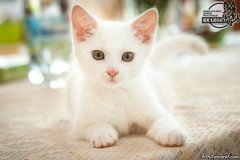 phoca_thumb_l_IMG_1970_resize