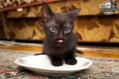 phoca_thumb_l_IMG_2049_resize
