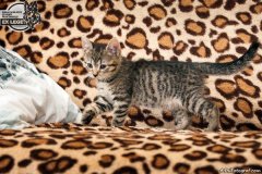 phoca_thumb_l_IMG_2053_resize