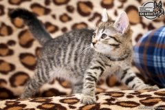 phoca_thumb_l_IMG_2089_resize
