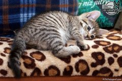 phoca_thumb_l_IMG_2109_resize