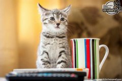 phoca_thumb_l_IMG_2117_resize