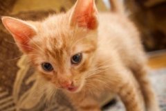 phoca_thumb_l_IMG_2124_resize