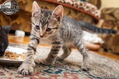 phoca_thumb_l_IMG_2126_resize