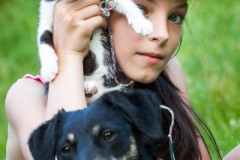phoca_thumb_l_Kuba_05