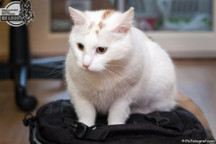 phoca_thumb_l_IMG_0257_resize