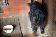 phoca_thumb_l_IMG_0672_resize