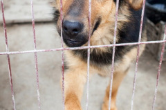phoca_thumb_l_IMG_0693_resize