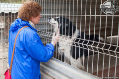 phoca_thumb_l_IMG_0694_resize