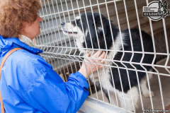 phoca_thumb_l_IMG_0695_resize