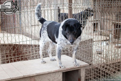 phoca_thumb_l_IMG_0701_resize