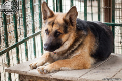 phoca_thumb_l_IMG_0711_resize