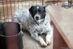 phoca_thumb_l_IMG_0712_resize