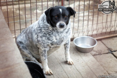 phoca_thumb_l_IMG_0713_resize