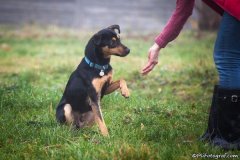 phoca_thumb_l_IMG_1467_resize
