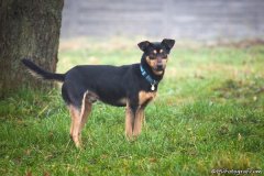 phoca_thumb_l_IMG_1472_resize