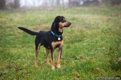 phoca_thumb_l_IMG_1492_resize