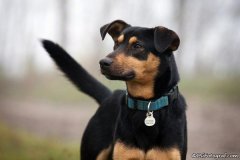 phoca_thumb_l_IMG_1543_resize
