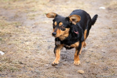 phoca_thumb_l_IMG_6552_resize