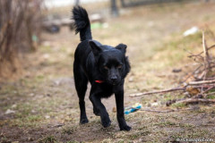 phoca_thumb_l_IMG_6555_resize