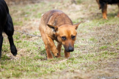 phoca_thumb_l_IMG_6562_resize