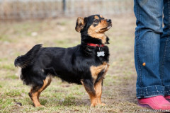 phoca_thumb_l_IMG_6573_resize