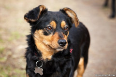 phoca_thumb_l_IMG_6625_resize