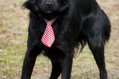 phoca_thumb_l_IMG_6638_resize