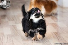 phoca_thumb_l_IMG_5129_resize