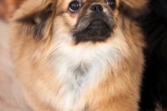 phoca_thumb_l_IMG_5132_resize