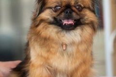 phoca_thumb_l_IMG_5164_resize